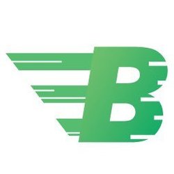 BCPAY FinTechLOGO