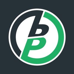 BlitzPickLOGO