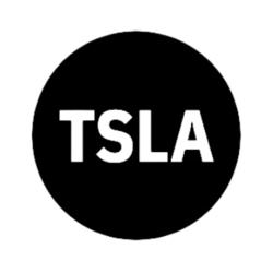 Tesla Tokenized Stock DefichainLOGO