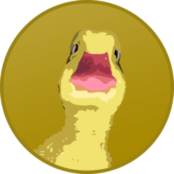 DuckereumLOGO