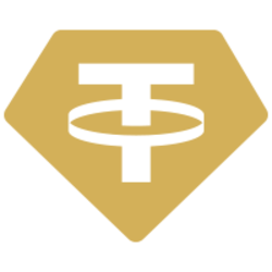 Tether GoldLOGO