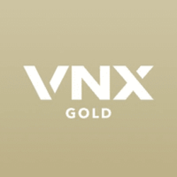 VNX GoldLOGO