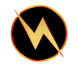 FlashLOGO