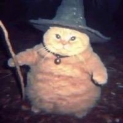 Wizard CatLOGO