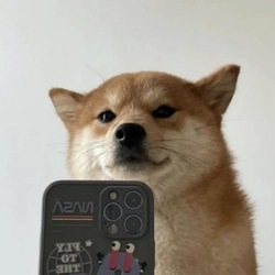 SelfieDogCoinLOGO