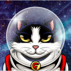 Felicette the Space CatLOGO