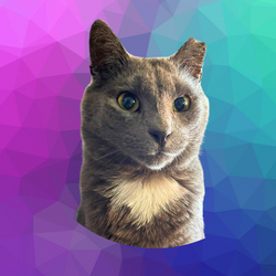 DIAMOND The Cat CoinLOGO