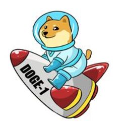 DOGE-1LOGO