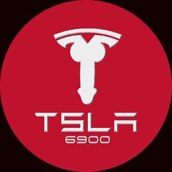 TSLA6900LOGO