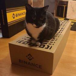 Binance CatLOGO