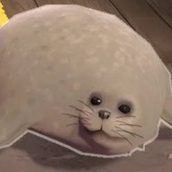 Bouncing SealsLOGO