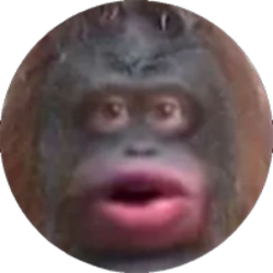 MonkecoinLOGO