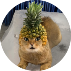 Pineapple CatLOGO