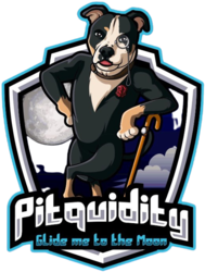 Pitquidity CapitalLOGO