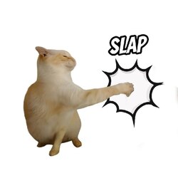 Slap catLOGO