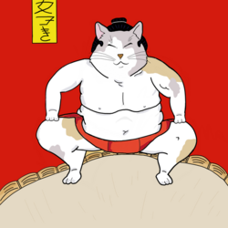 SUMO KITTYLOGO