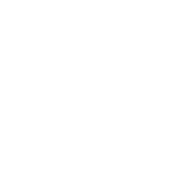 WPAYLOGO