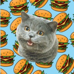 Cheezburger CatLOGO