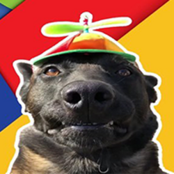 dog wif spinning hatLOGO