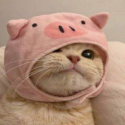 PigCatLOGO