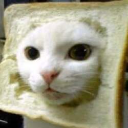 Inbred CatLOGO