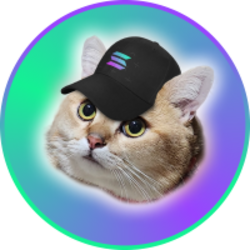 CatSolHatLOGO