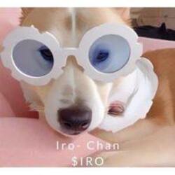 Iro-ChanLOGO