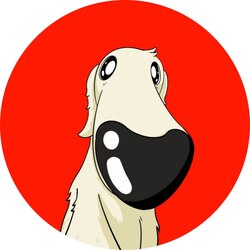 Borzoi CoinLOGO